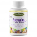 Astragalus Reishi & Maitake plus