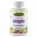 Astragalus herbal extract