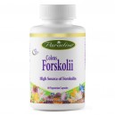 Coleus Forskolii Extract