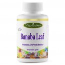 Banaba leaf extract