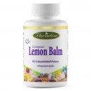 Lemon Balm 8:1