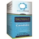 High Potency 9 (HP9)  *