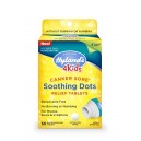 Hyland's Canker Sore Soothing Dots Relief NEW